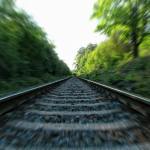 gray metal railway across in green trees during day time